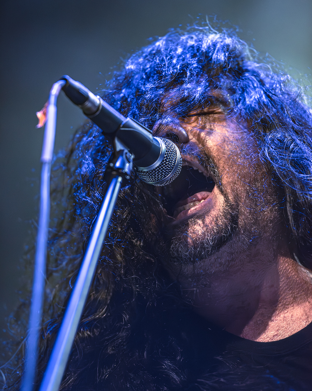 Obituary - Celebrating 35 Years Cause of Death